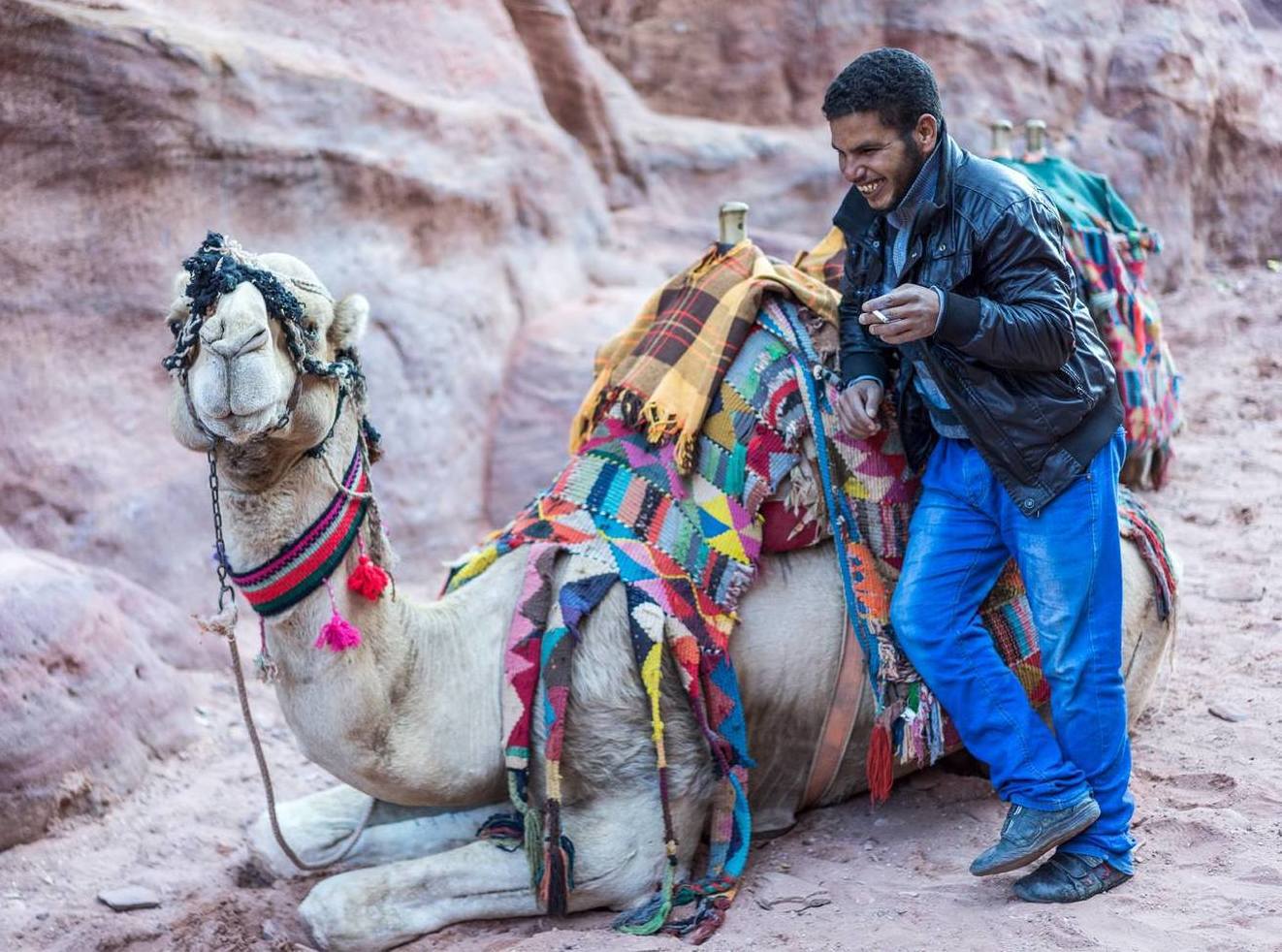 Camel's anecdote. Petra, Jordan.